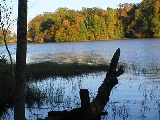 2nd image of 7977 Briar Creek Rd