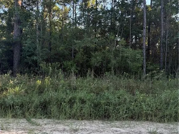 0 Dakota Dr, Coden, AL 36523