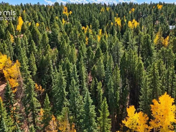 70 W Eldorado Cir, Florissant, CO 80816