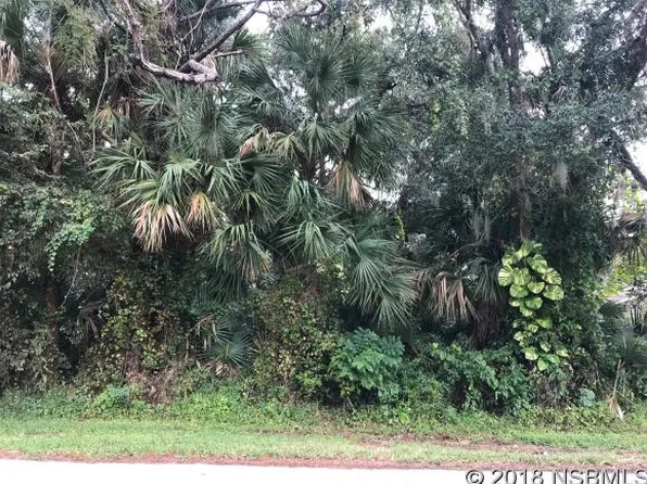 Needle Palm Dr, Edgewater, FL 32141