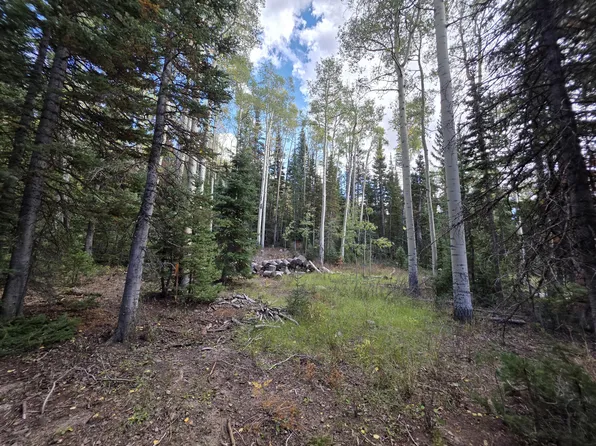 214 E Deer Trl, Brian Head, UT 84719