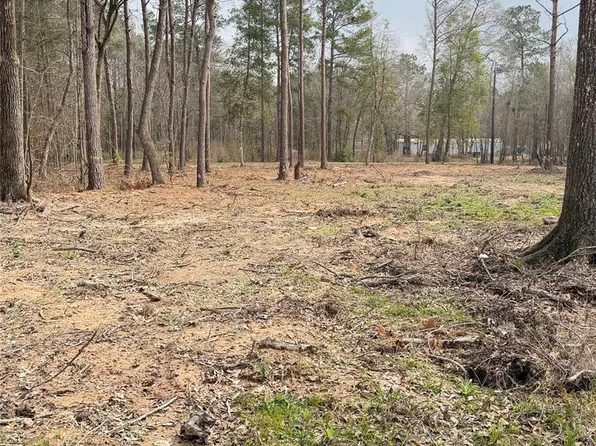 0 Dogwood Trl, Shepherd, TX 77371