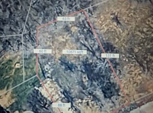 LOT 41 Parkers Ct, Bridgeport, TX 76426