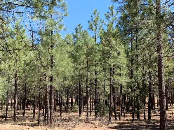 4394 Jack Pine Pl, Happy Jack, AZ 86024
