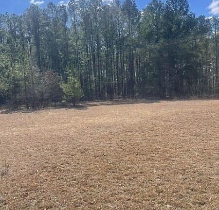 2nd image of 0 N Horace Walters Rd