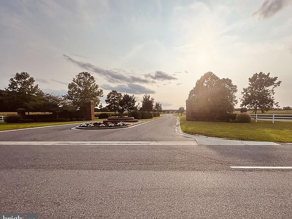 4th image of 9197 Barbaro Dr