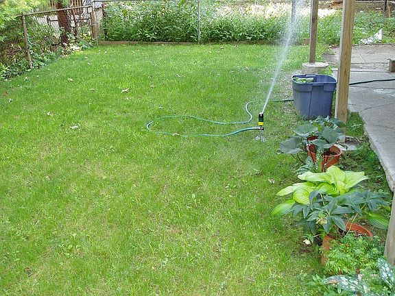 Backyard