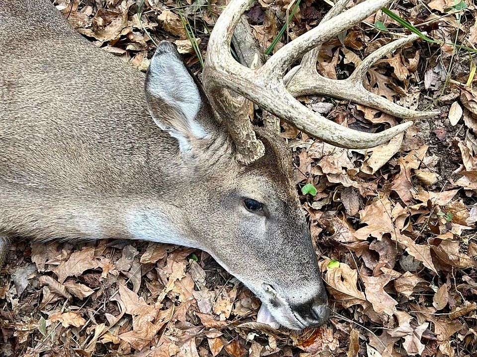 49th image of this home