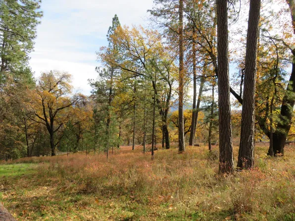 850 Barbara Ln, West Point, CA 95255