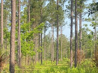 20/ACRE S Forsyth Yatesville Rd, Yatesville, GA 31097