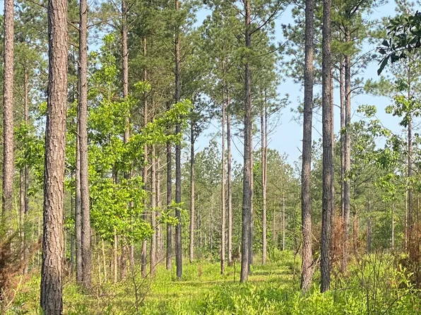 20/ACRE S Forsyth Yatesville Rd, Yatesville, GA 31097