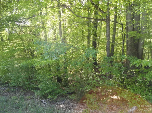 0 King Wilkinson Rd, Lincolnton, NC 28092