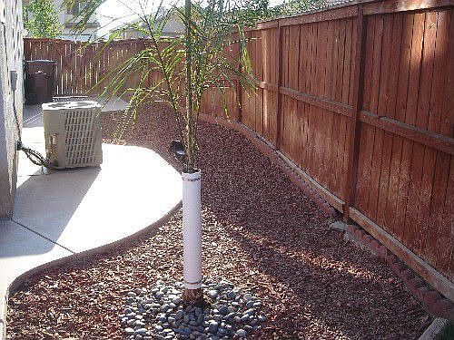 Side Yard