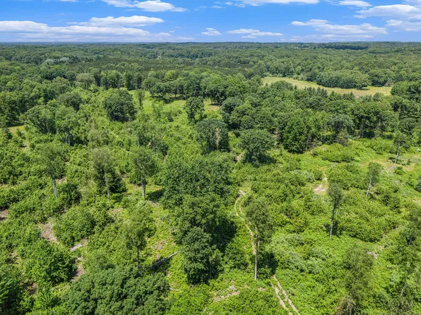 2714 E Hawley Rd, Custer, MI 49405