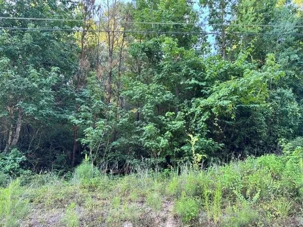 Tbd16 White Rock Acres Rd Lot 16, Trinity, TX 75862