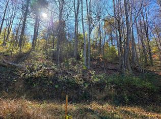 Pilot Rd, Riner, VA 24149