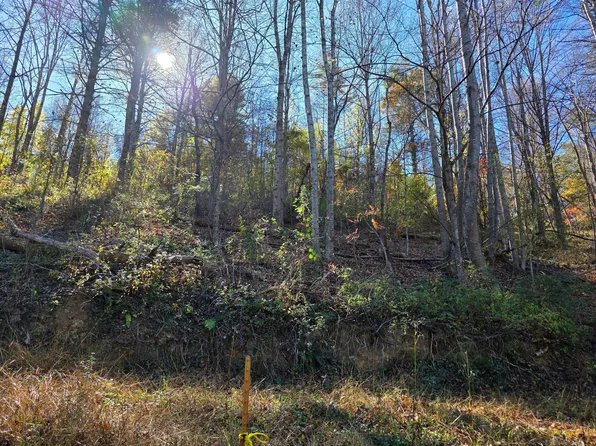 Pilot Rd, Riner, VA 24149