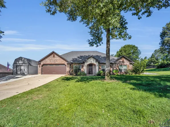 154 Faith Ln, Diana, TX 75640