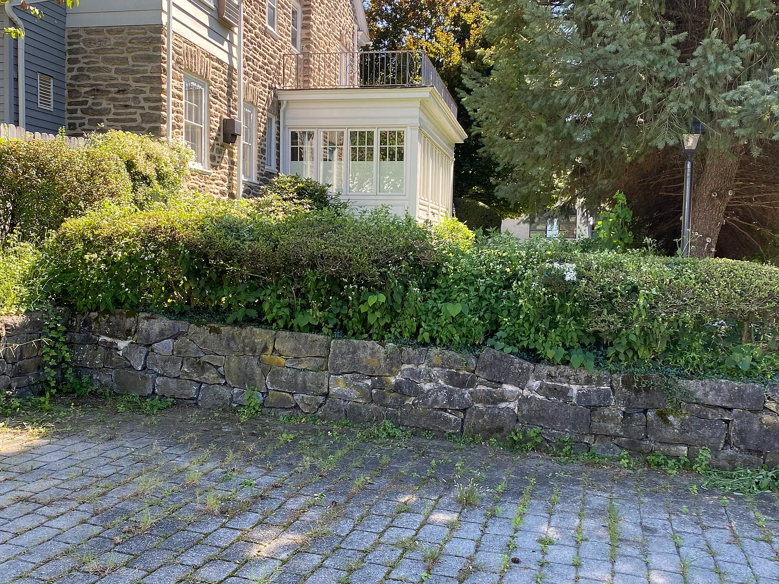 1 bed, 450 sqft, $1,450 — Photo 1
