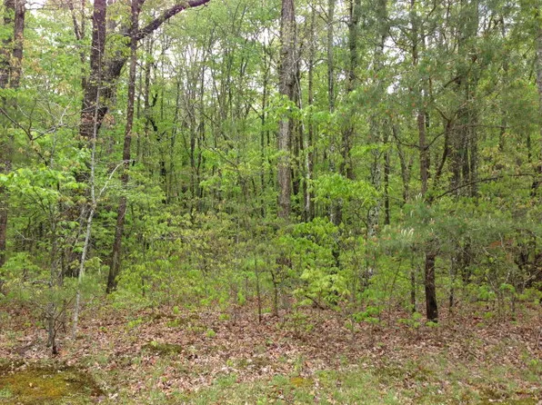 White Oak Rd, Monterey, TN 38574
