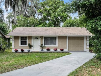 690 E Jackson Ave, Mount Dora, FL, 32757