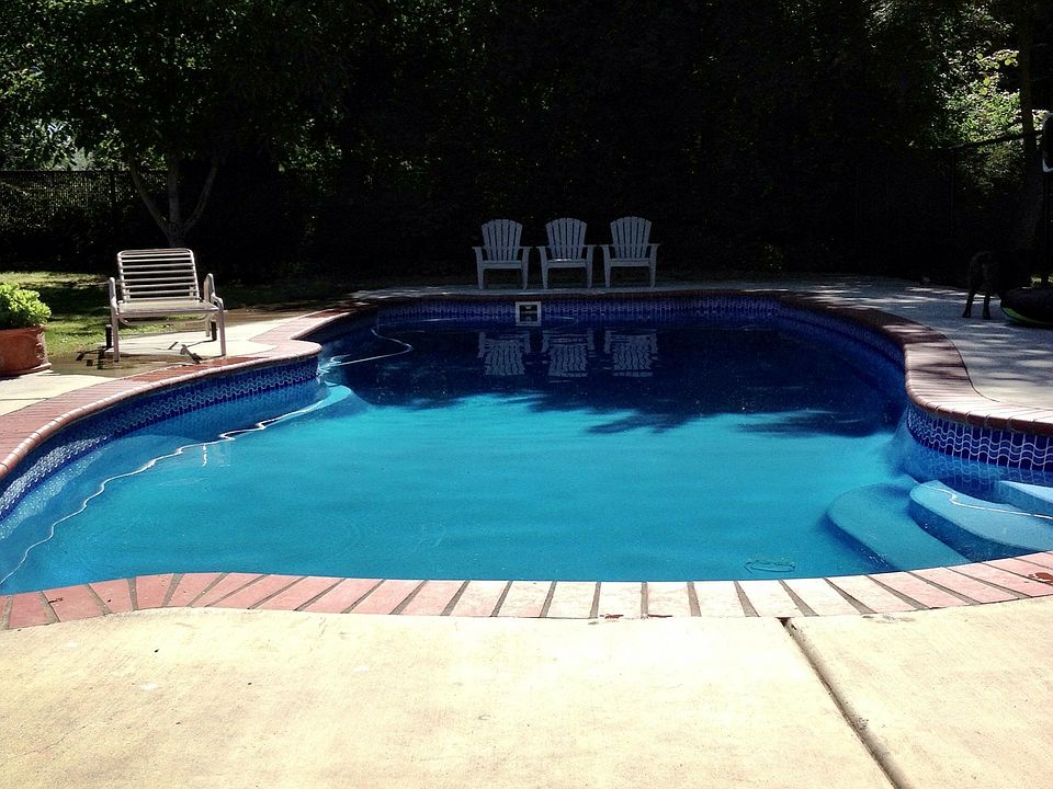 Back yard in ground pool