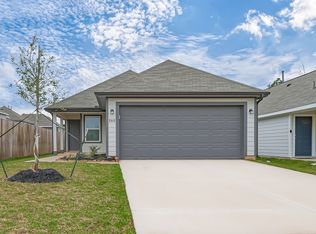 2412 Cavefish Ct, Conroe, TX 77384