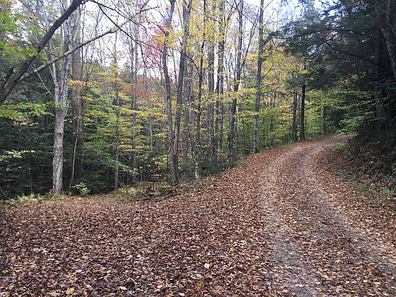 Road to cabin
