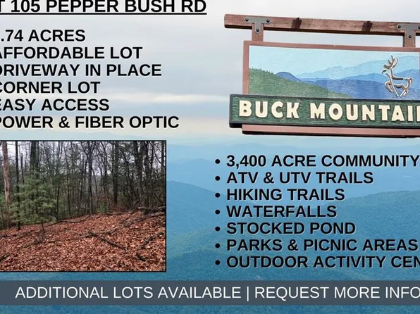 LOT 105 Pepper Bush Rd Lot 105, Purlear, NC 28665