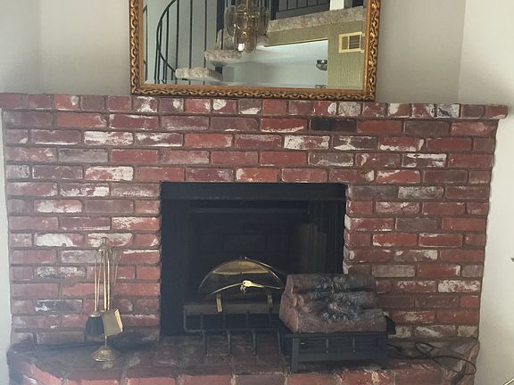 Wood-burning fireplace