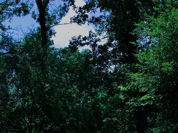 263 W Holly Trl, Holly Lake Ranch, TX 75765