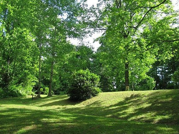 Back Yard area.