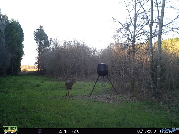 4th image of 2603 & 2606 County Road 33