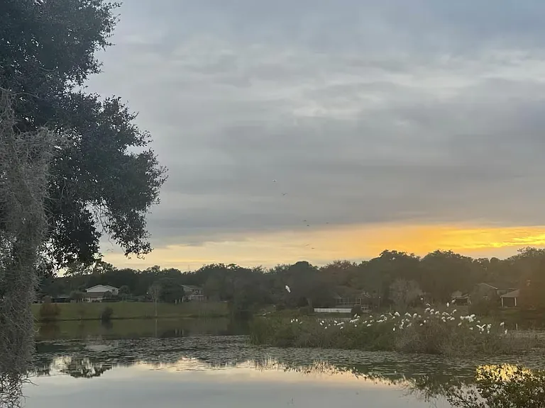 15405 Morning Dr — Photo 12