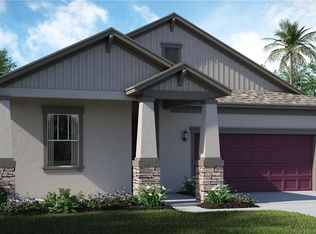 10910 Great Cormorant Dr, Riverview, FL 33579