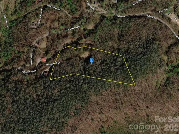 4 Falcons Peak Ln, Whittier, NC 28789
