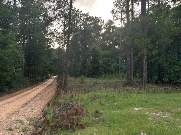 0 Edenfield Rd, Twin City, GA 30471