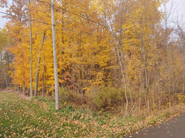 White Birch Dr, Farwell, MI 48622