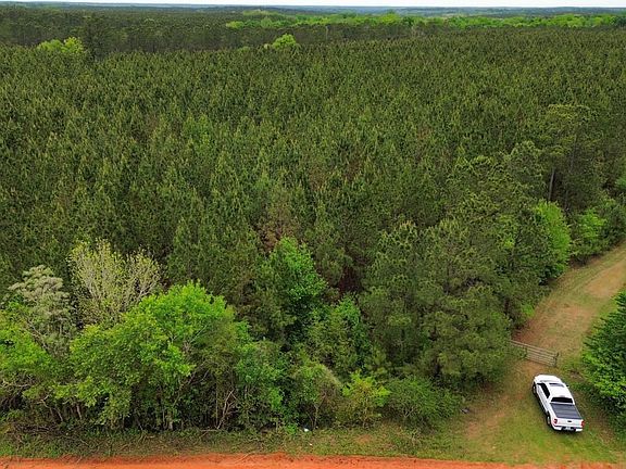 Dji Fly 20260406 125048 607 1775495120445 Photo Optimized