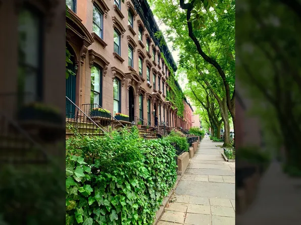 333 Adelphi Street image 24 of 26