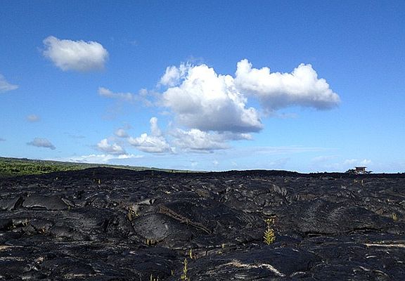 5th image of Leilani Ave Lot 153