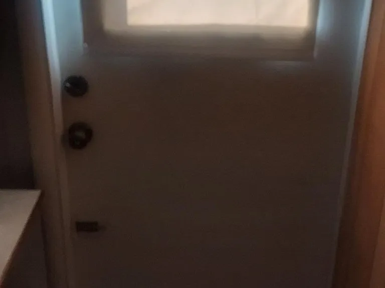 4813 Carrollwood St — Photo 3
