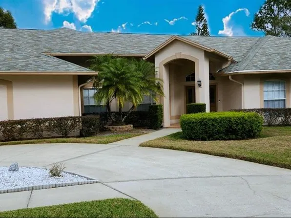 15903 Armistead Ln, Odessa, FL 33556