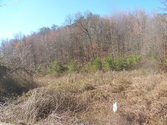 5th image of 11624 Hope Means Rd