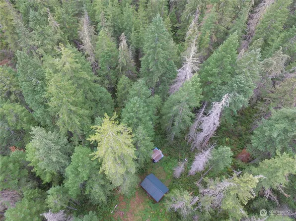 3 Ac +/- Tahuya Blacksmith Rd. Road, Tahuya, WA 98588
