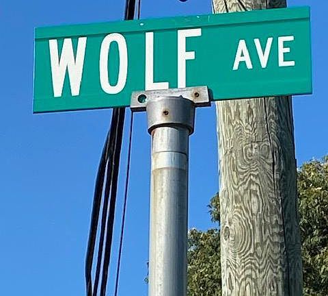 2nd image of 106 Wolf Ave