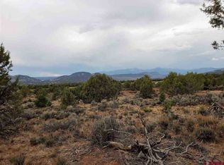 425 Dally Dr, Durango, CO 81303