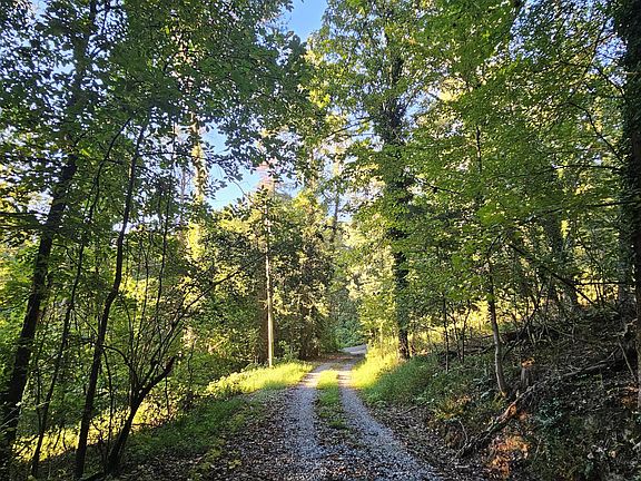 2nd image of 162 Phillips Hollow Rd