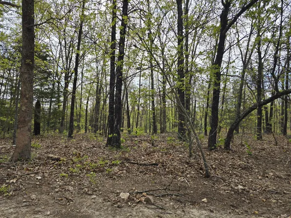 Tract M Greatview Lane, Lebanon, MO 65536