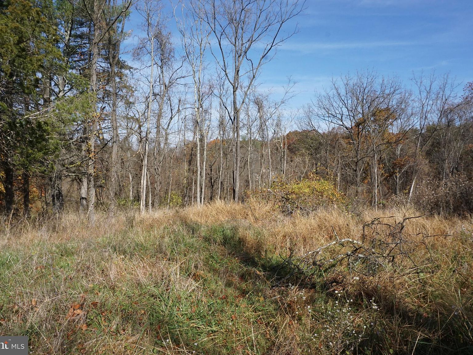Swinging Bridge Rd, Hedgesville, WV 25427 Zillow
